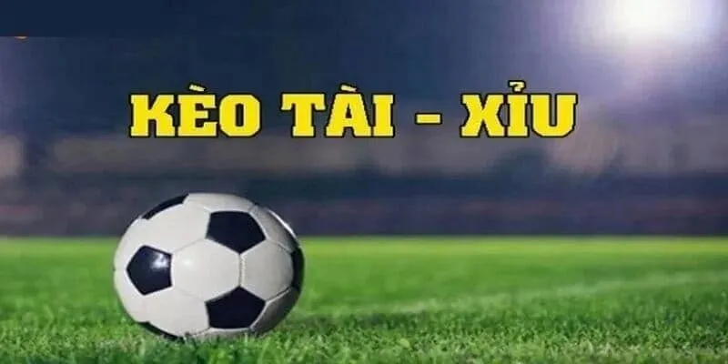 Mẹo đọc kèo tài xỉu từ chuyên gia cá cược