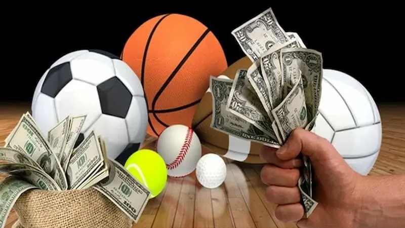 Tìm hiểu tipster là gì?