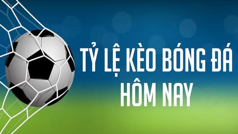 Thế nào là dự đoán kèo nhà cái?
