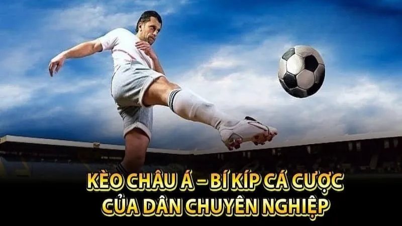 Mẹo cược kèo châu Á chính xác
