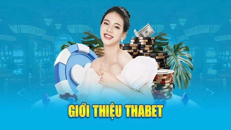 Hỗ trợ khách hàng nhanh chóng, chuyên nghiệp