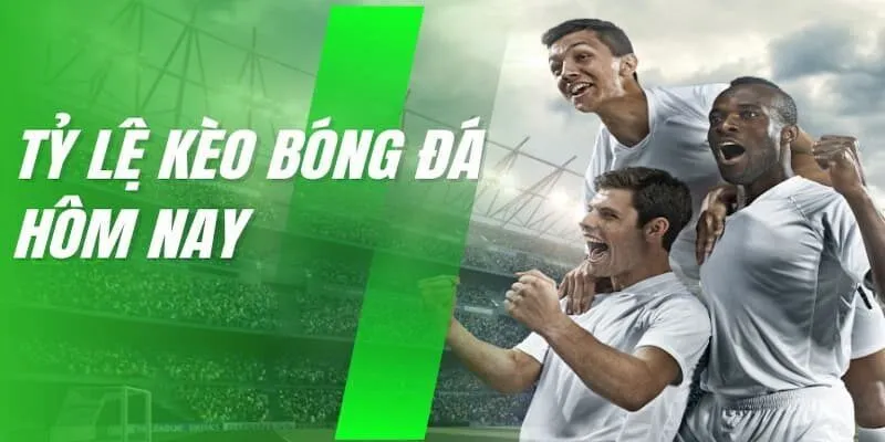 Lợi ích của việc theo dõi tỷ lệ kèo