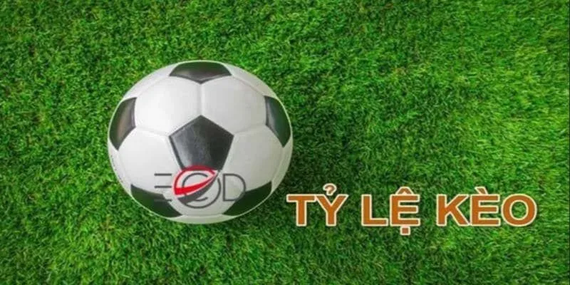 Cách xem tỷ lệ kèo hiệu quả